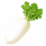 Дайкон