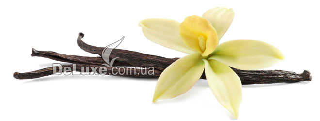 Стручки ванілі з квіткою