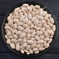 Белая мелкая фасоль