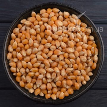 Кукурудза сортів, що лопаються, для попкорну