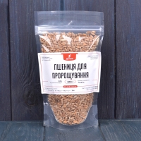Семена органической пшеницы для проращивания дома