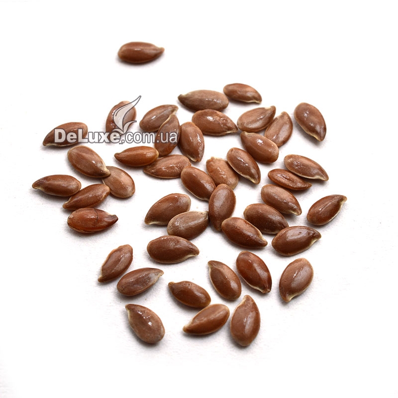 Семена льна – купить в магазине Делюкс | Цена 38грн за 0.5кг