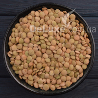 Чечевица зеленая