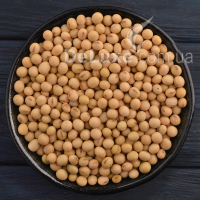 Бобы соевые