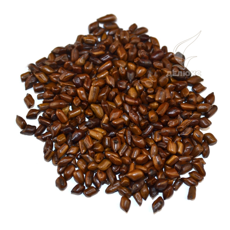 Кофейные бобы (семена Кассии Торы), 59 грн –  в е,  .