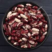 Фасоль Ласточка