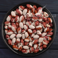 Фасоль Красная шапочка