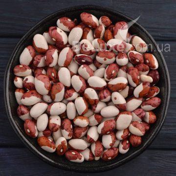 Фасоль Красная шапочка, белый боб с бордовым концом