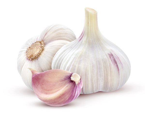 garlics white surface