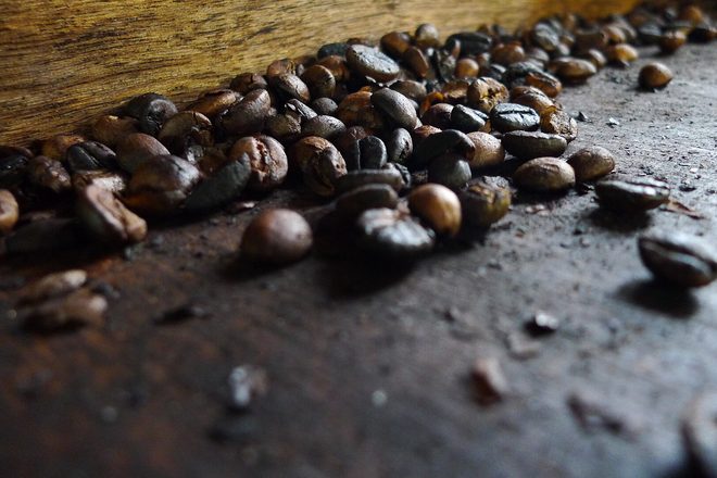 Копи Лювак (Kopi Luwak): что это за кофе и почему он такой дорогой
