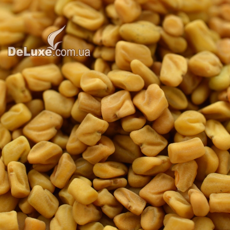 Насіння фенугрека свіжого врожаю